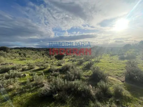 Finca rústica en Villar del Pedroso