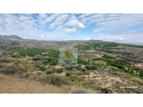 Finca rústica en Campo de Murcia
