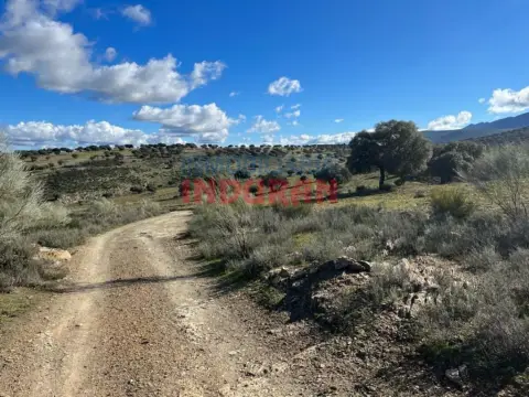 Finca rústica en Carrascalejo