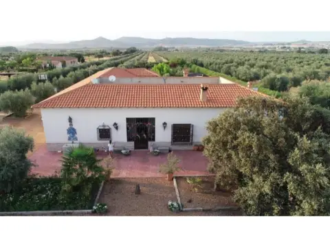 Chalet en Piedrabuena