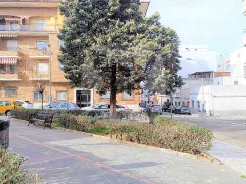 Local comercial en Pardaleras