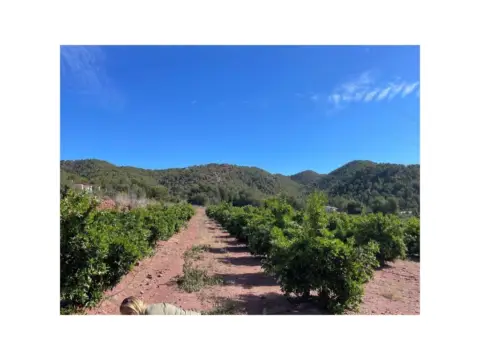 Casa en calle Carrer El Coscollar, nº S/N