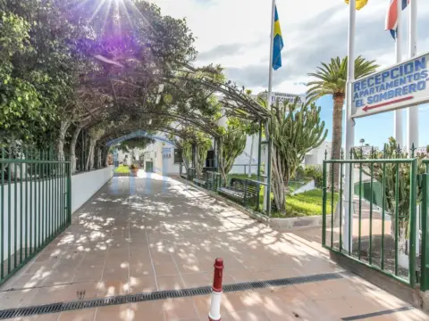 Estudio en Santiago del Teide