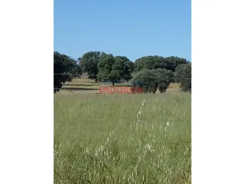 Finca rústica en Alcolea de Tajo