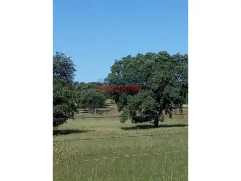 Finca rústica en Alcolea de Tajo