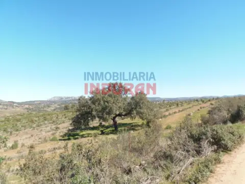 Finca rústica en Fresnedoso de Ibor