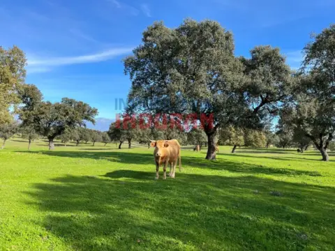Finca rústica en Casatejada