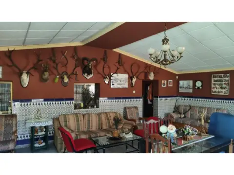 Casa rústica en Almodóvar del Campo