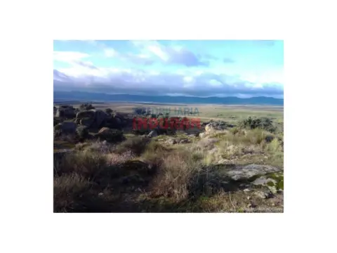 Finca rústica en Villar del Pedroso