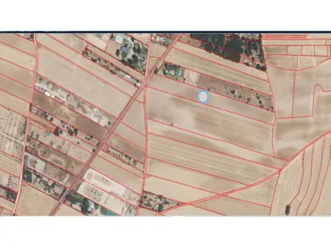 Terreno en Fuente el Saz de Jarama