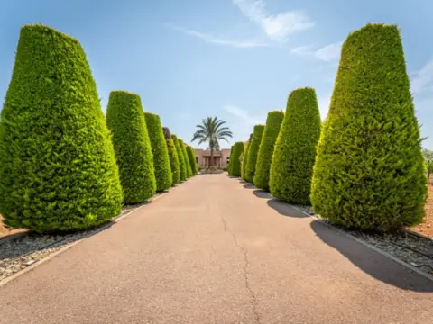 Casa rústica en Porreres