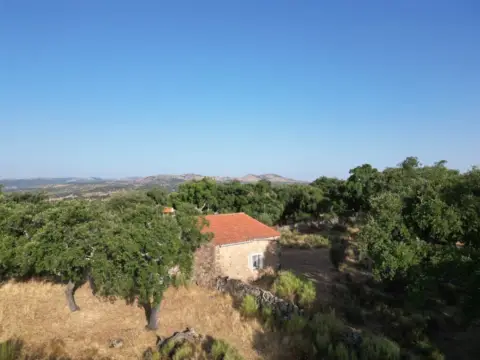 Finca rústica en San Vicente de Alcántara