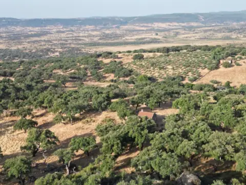 Finca rústica en San Vicente de Alcántara