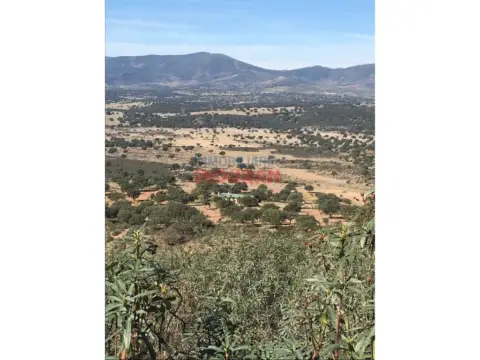 Finca rústica en Cabañas del Castillo