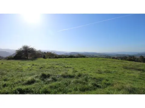 Finca rústica en San Claudio-Trubia-Las Caldas