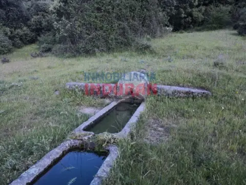 Finca rústica en Casas del Castañar