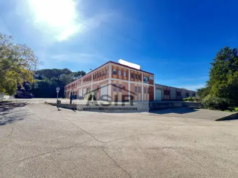 Nave industrial en Alquerieta