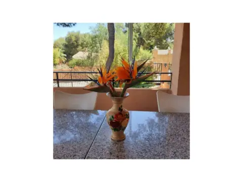 Casa en Partida Plan de Pavia