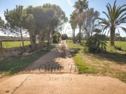 Finca rústica en Felanitx