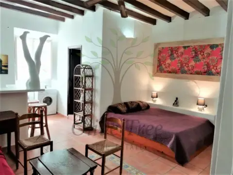 Estudio en Dalt Vila-La Marina