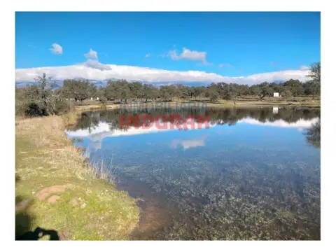 Finca rústica en Navalmoral de la Mata