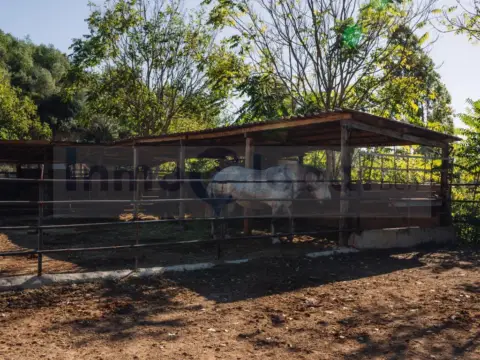 Finca rústica en Rubí