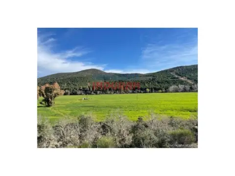 Finca rústica en Piedrabuena
