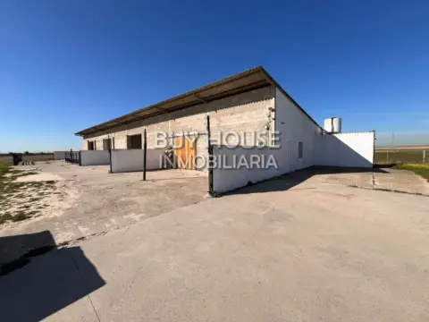 Finca rústica en Torrejón de Velasco