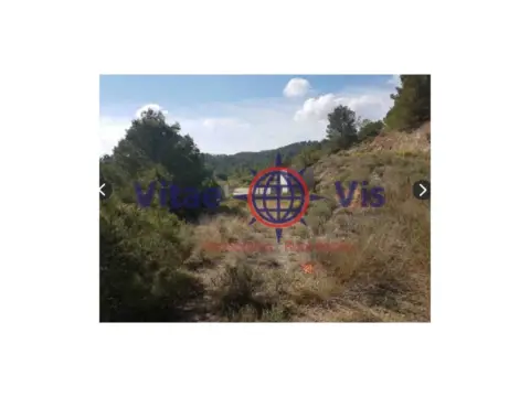 Terreno en calle Diseminados Ortillo