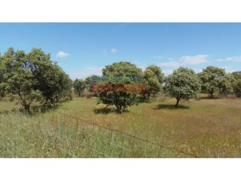 Finca rústica en Peraleda de la Mata