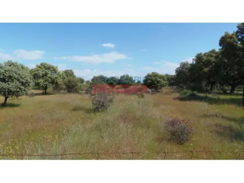 Finca rústica en Peraleda de la Mata