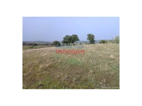 Finca rústica en Villar del Pedroso