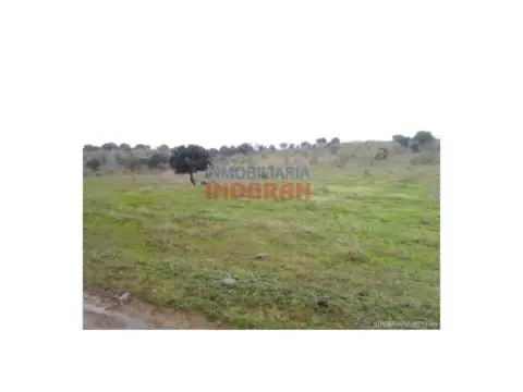 Finca rústica en Villar del Pedroso