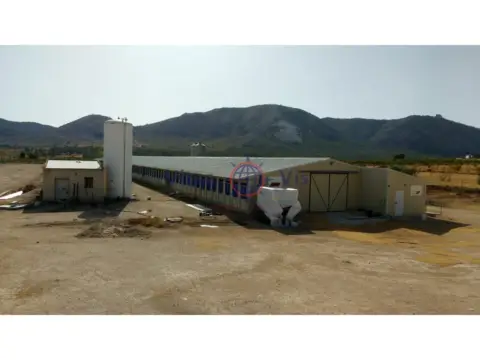 Finca rústica en calle Mayor