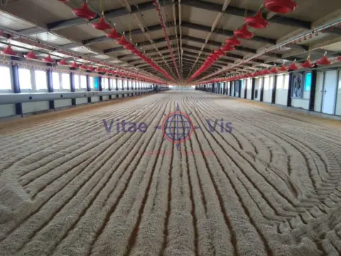 Finca rústica en calle Mayor