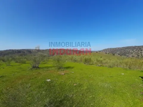 Finca rústica en Valdelacasa de Tajo