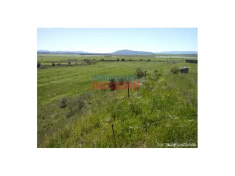 Finca rústica en Alcolea de Tajo