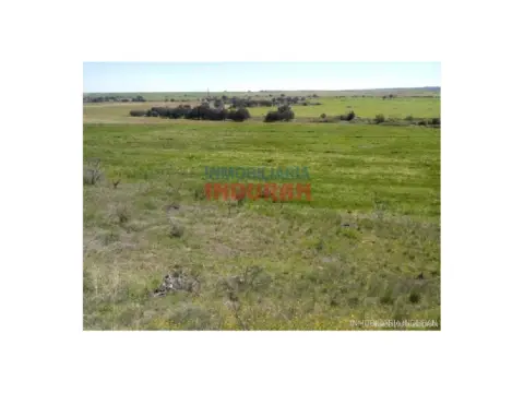 Finca rústica en Alcolea de Tajo