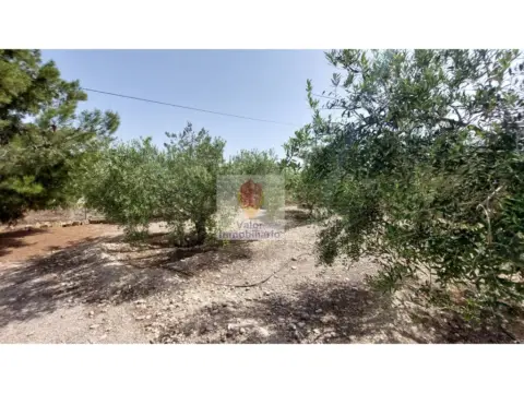 Casa rústica en Blanca