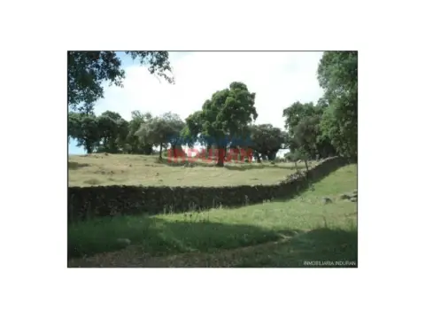 Finca rústica en Río Tinto-Aldea Moret-La Cañada