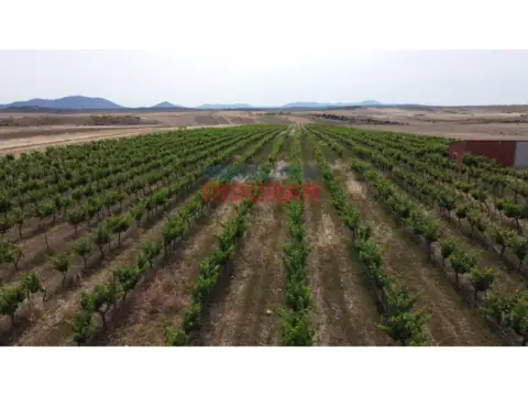 Finca rústica en Villar del Pedroso