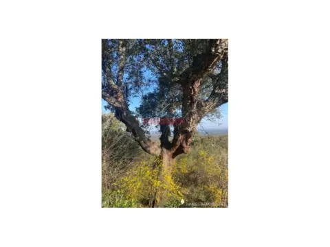 Finca rústica en Río Tinto-Aldea Moret-La Cañada