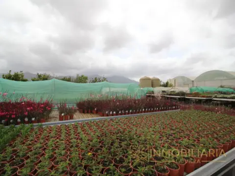 Nave industrial en La Alquería-Torrealquería