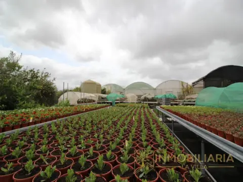 Nave industrial en La Alquería-Torrealquería