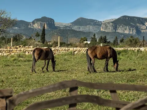 Casa rústica en Sencelles