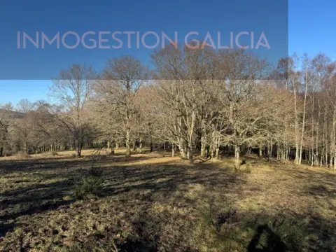 Terreno en Muras (San Pedro)