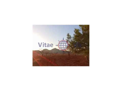 Terreno en calle de Fuensanta