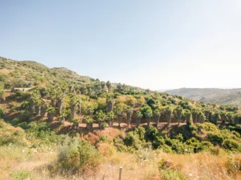 Finca rústica en Monda