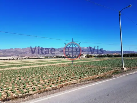 Terreno en calle Diseminados Cazalla