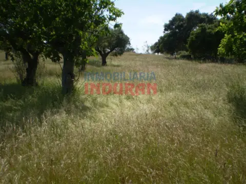 Finca rústica en Valdehúncar